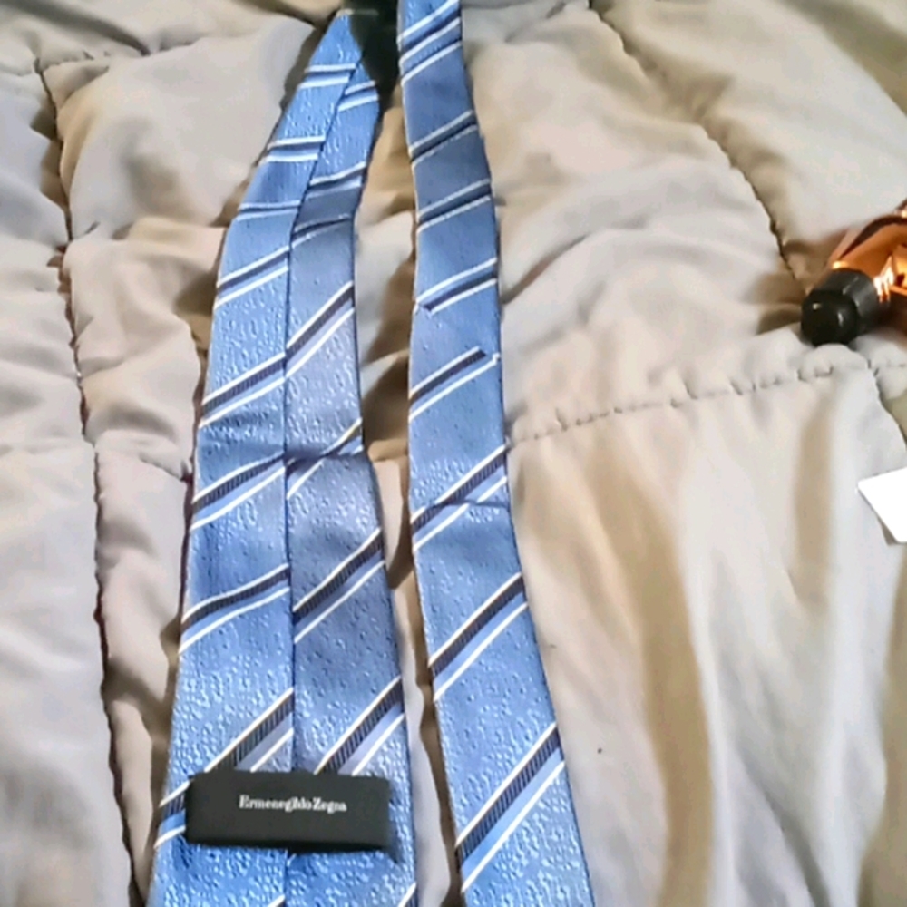 ErmenegidoZenga Blue Striped Tie